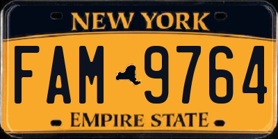 NY license plate FAM9764