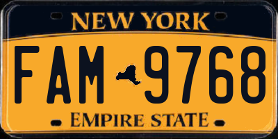 NY license plate FAM9768