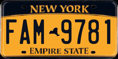 NY license plate FAM9781