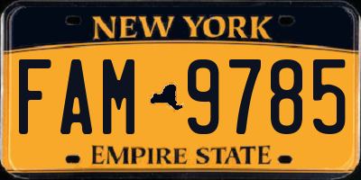 NY license plate FAM9785