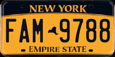 NY license plate FAM9788