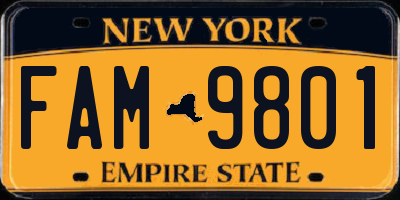 NY license plate FAM9801