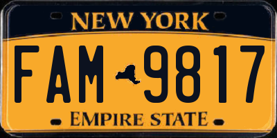 NY license plate FAM9817