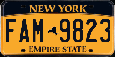 NY license plate FAM9823