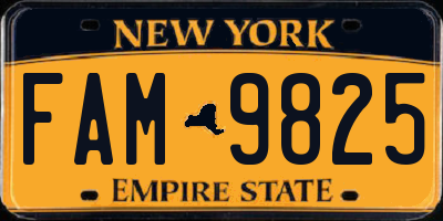NY license plate FAM9825