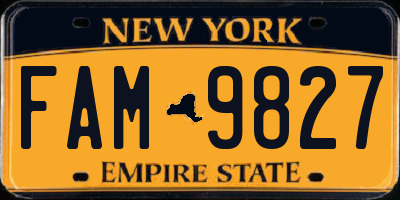 NY license plate FAM9827