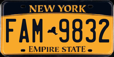 NY license plate FAM9832