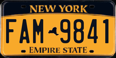 NY license plate FAM9841