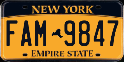 NY license plate FAM9847