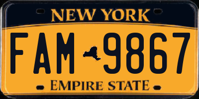 NY license plate FAM9867