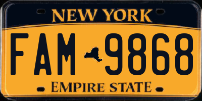NY license plate FAM9868