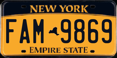 NY license plate FAM9869