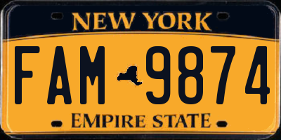 NY license plate FAM9874