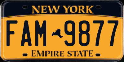 NY license plate FAM9877