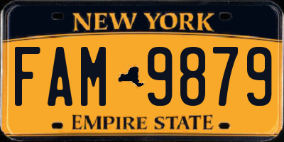 NY license plate FAM9879