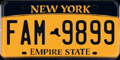 NY license plate FAM9899