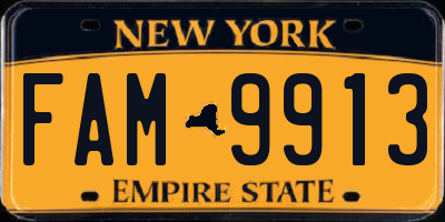 NY license plate FAM9913