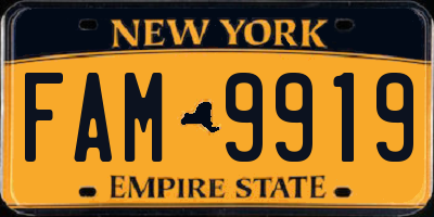 NY license plate FAM9919