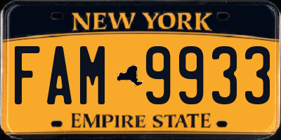 NY license plate FAM9933
