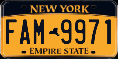 NY license plate FAM9971