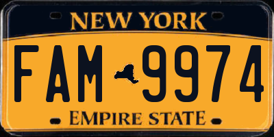 NY license plate FAM9974