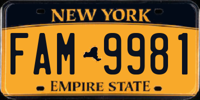 NY license plate FAM9981