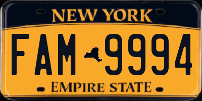 NY license plate FAM9994