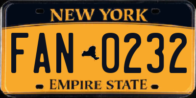 NY license plate FAN0232