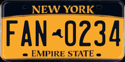 NY license plate FAN0234