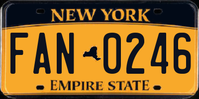 NY license plate FAN0246
