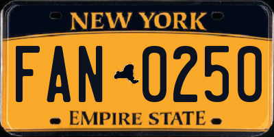 NY license plate FAN0250