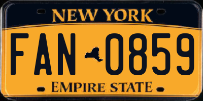 NY license plate FAN0859