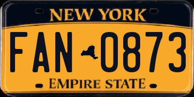 NY license plate FAN0873