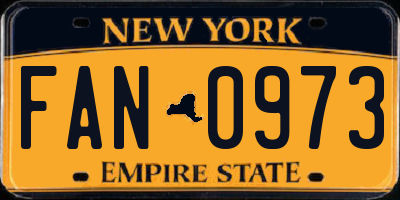 NY license plate FAN0973
