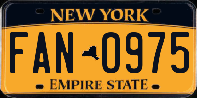 NY license plate FAN0975