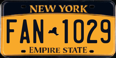 NY license plate FAN1029