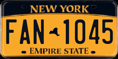 NY license plate FAN1045