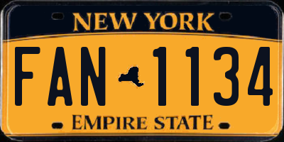 NY license plate FAN1134
