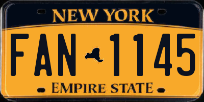 NY license plate FAN1145