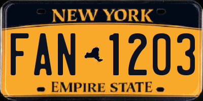 NY license plate FAN1203