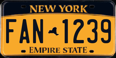 NY license plate FAN1239