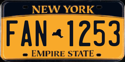 NY license plate FAN1253