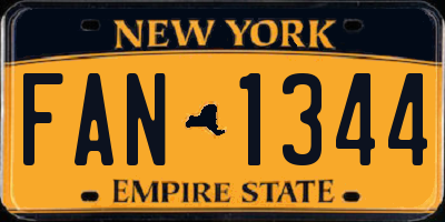 NY license plate FAN1344