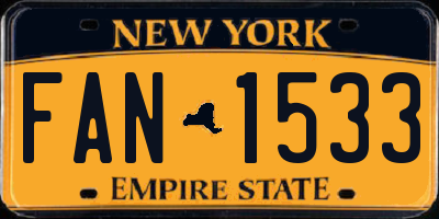 NY license plate FAN1533