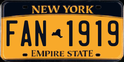 NY license plate FAN1919