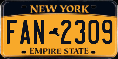 NY license plate FAN2309