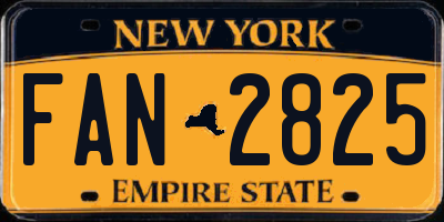 NY license plate FAN2825