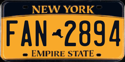 NY license plate FAN2894