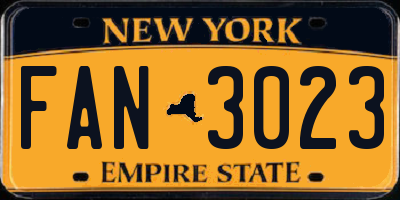 NY license plate FAN3023