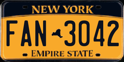 NY license plate FAN3042